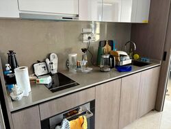 Avenue South Residence (D3), Apartment #593754871